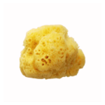 Éponge de mer naturelle Visage et Corps